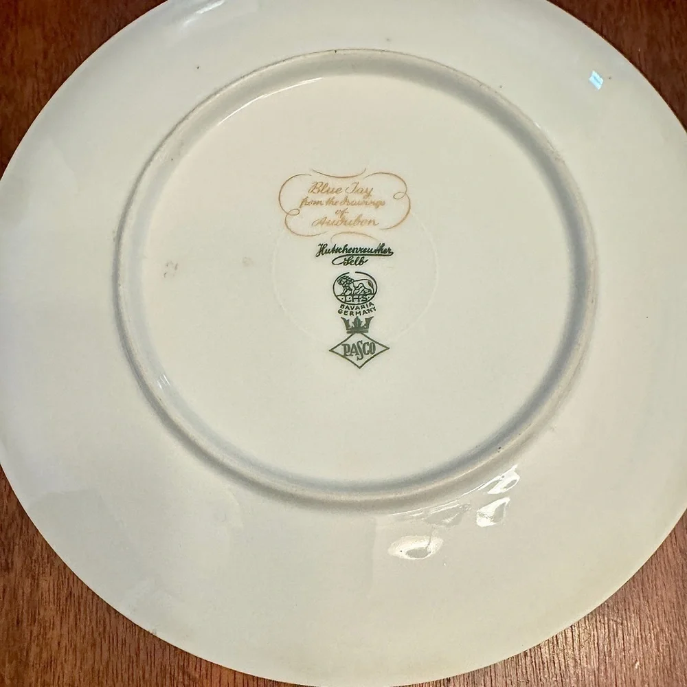 Hutschenreuther Pasco Bone China Audubon Bird Plates (8”)